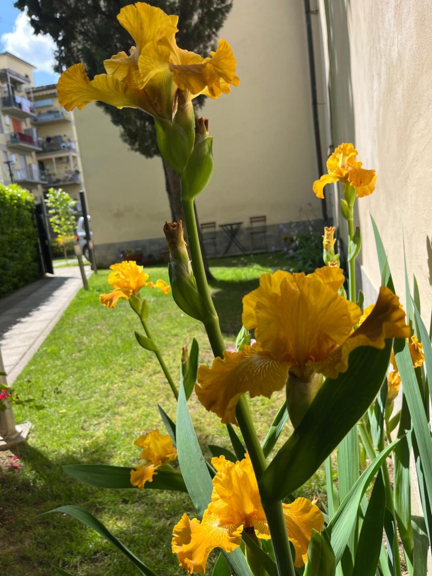 Dalu Florence Apartment Lucilla - Private Car Park 15 Minutes To The City Center Экстерьер фото